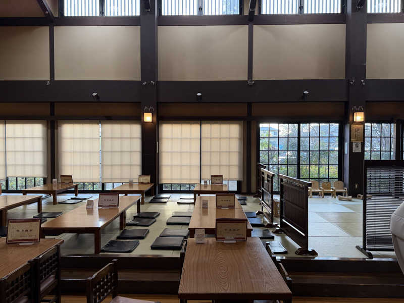 Mr.さんの天然温泉 真名井の湯 大井店のサ活写真