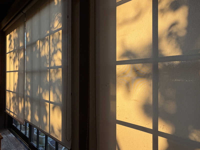 Mr.さんの天然温泉 真名井の湯 大井店のサ活写真