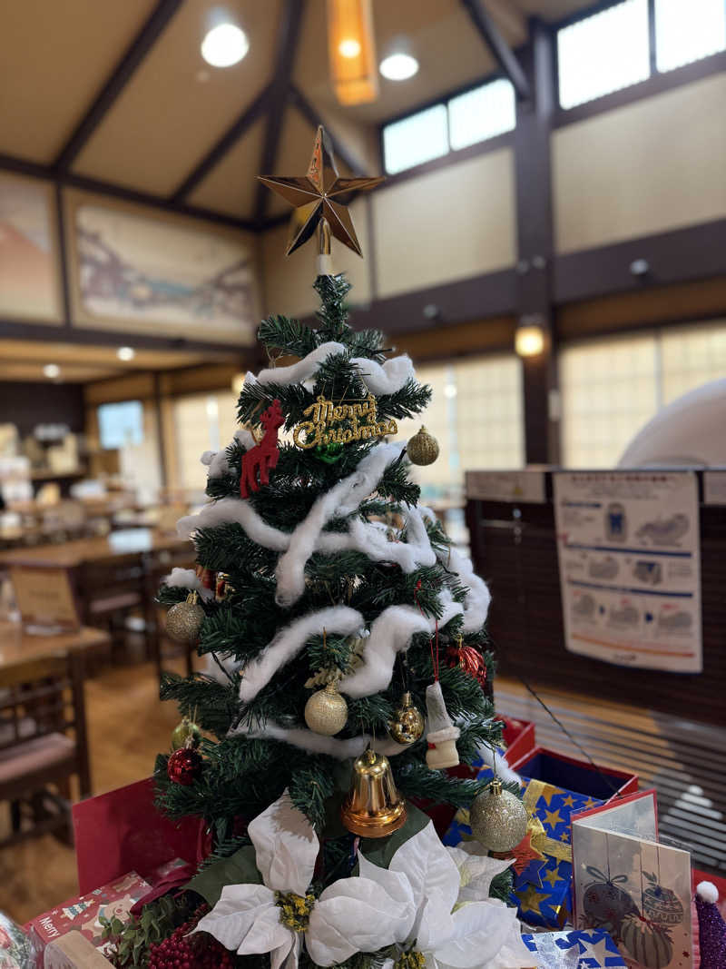 Mr.さんの天然温泉 真名井の湯 大井店のサ活写真