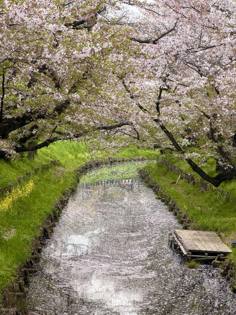 Mr.さんの小江戸温泉 KASHIBAのサ活写真