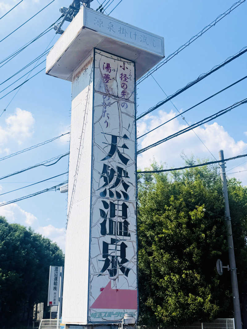 Mr.さんの埼玉スポーツセンター天然温泉のサ活写真