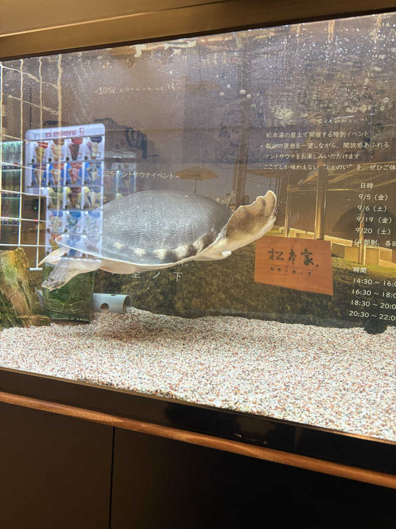 いくちゃんさんの松本湯のサ活写真