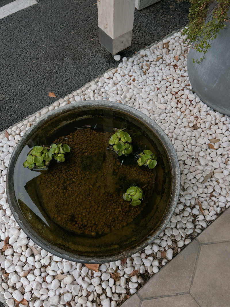 むしやさいさんのクアパレス藤のサ活写真