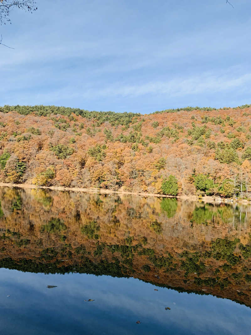 hinakoさんの湖畔の楽園ドラゴンサウナのサ活写真