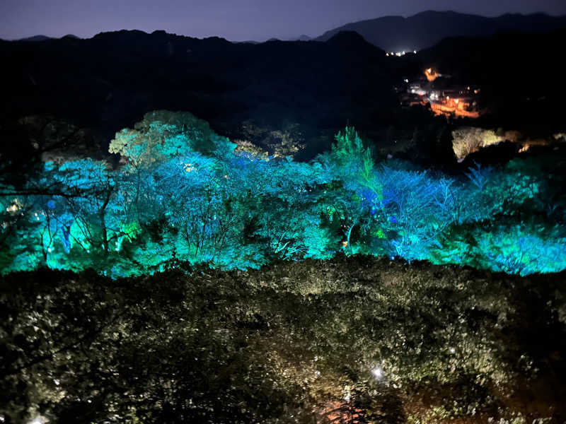 センター武蔵さんの御船山楽園ホテル  らかんの湯のサ活写真