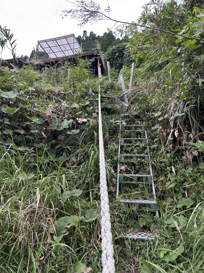 センター武蔵さんのカフェ パラムのサ活写真