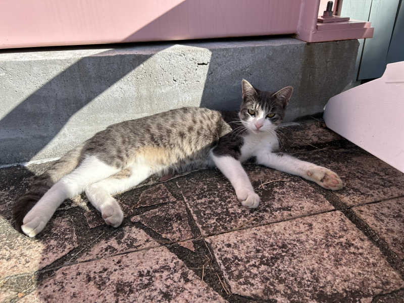 センター武蔵さんのan saunaのサ活写真