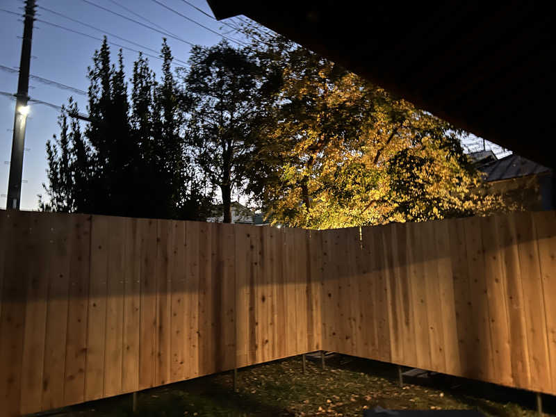 センター武蔵さんのニノサ 佐野店のサ活写真