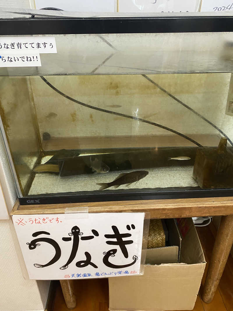 🈂️だいこんさんの天然温泉 湯どんぶり栄湯のサ活写真