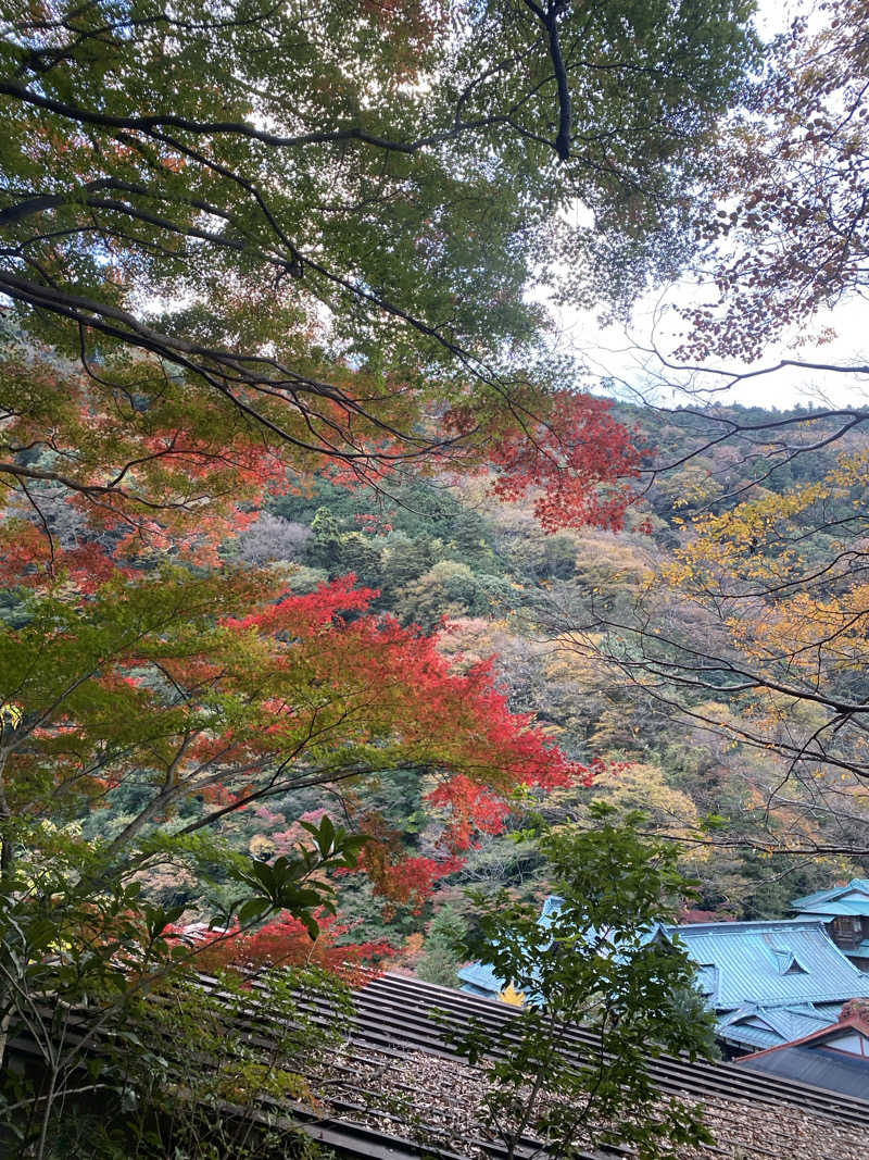 🈂️だいこんさんの箱根湯寮のサ活写真