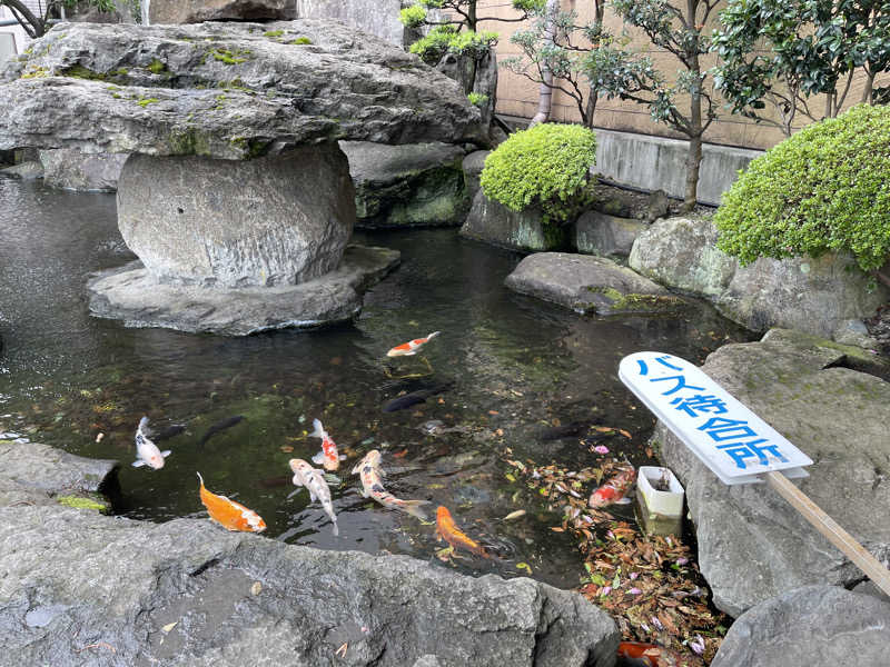 くまちゃんずさんの駿河健康ランドのサ活写真