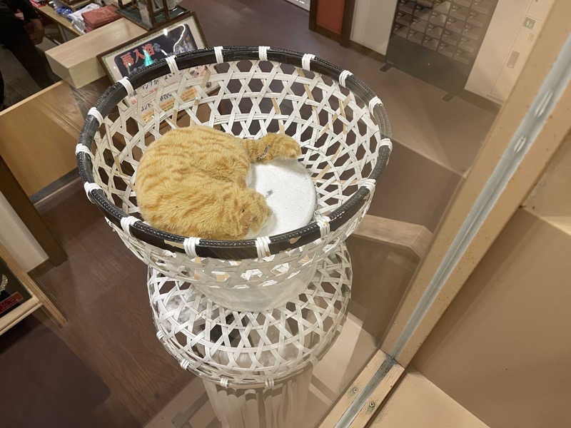 くまちゃんずさんの天然温泉 満天の湯のサ活写真