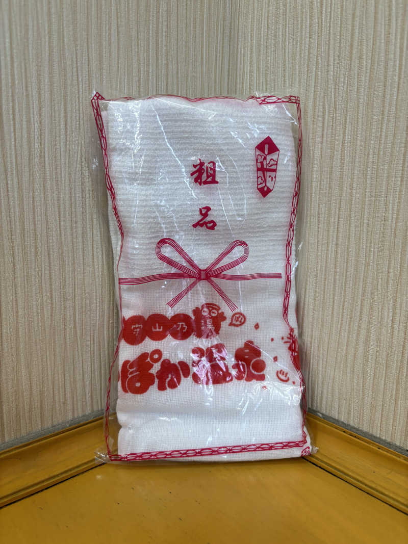 さーうなっさんのぽかぽか温泉 新守山乃湯のサ活写真