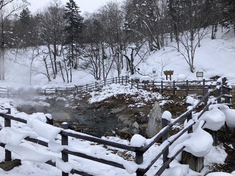 いっちゃん☀️さんのトムラウシ温泉 東大雪荘のサ活写真