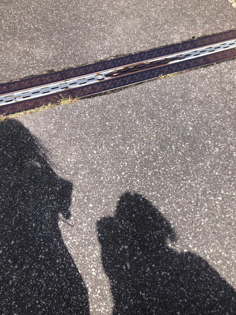 ♨️みどり蒸し🤢🧖‍♀️さんの谷地頭温泉のサ活写真