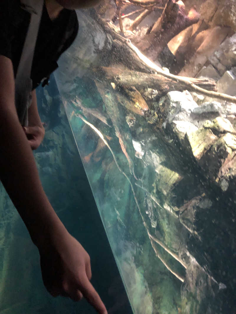 ♨️みどり蒸し🤢🧖‍♀️さんのアパホテル 大阪天満のサ活写真