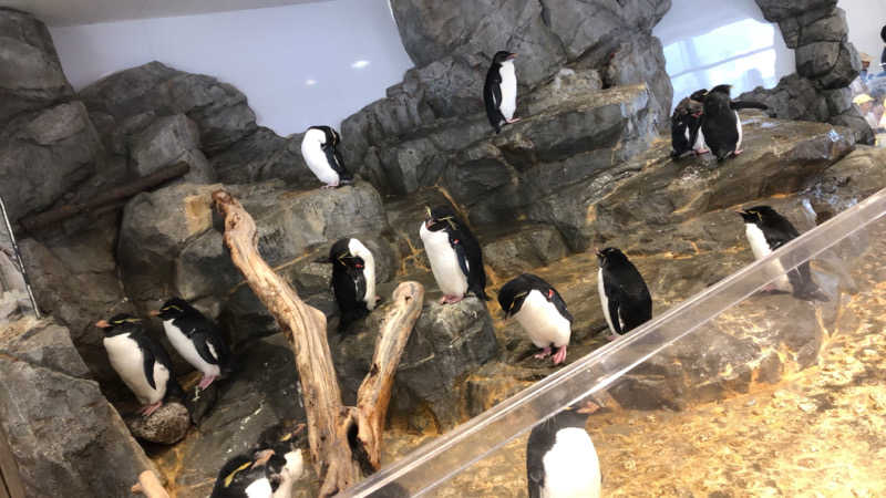 ♨️みどり蒸し🤢🧖‍♀️さんのアパホテル 大阪天満のサ活写真