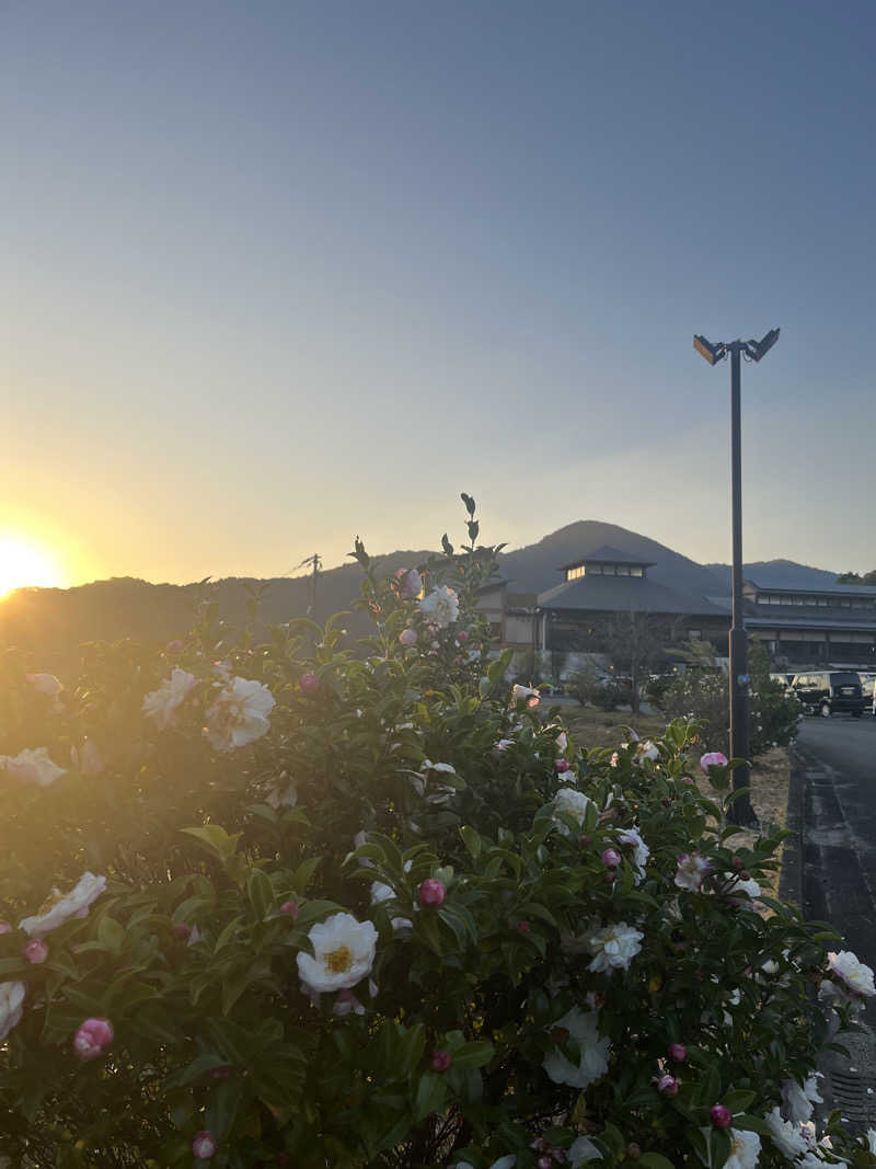 じむもんさんのひがしせふり温泉 山茶花の湯のサ活写真