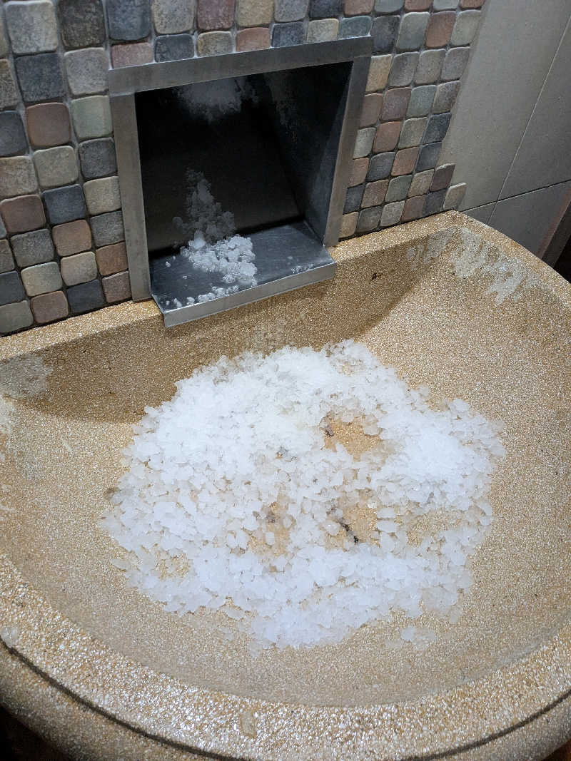 どもしゃまさんのセーチェーニ温泉のサ活写真