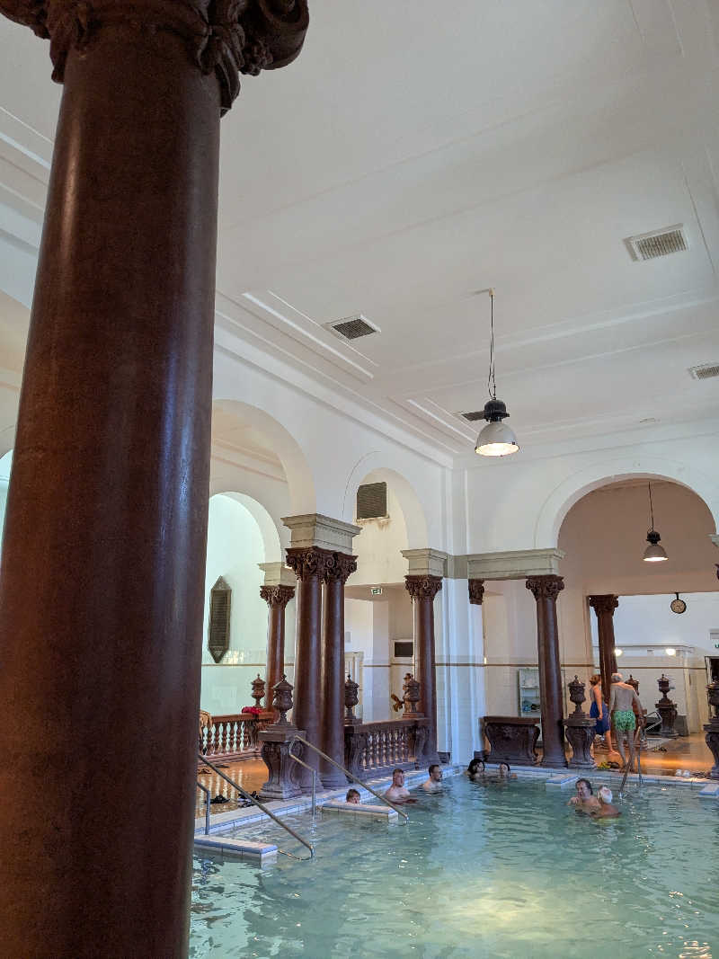 どもしゃまさんのセーチェーニ温泉のサ活写真