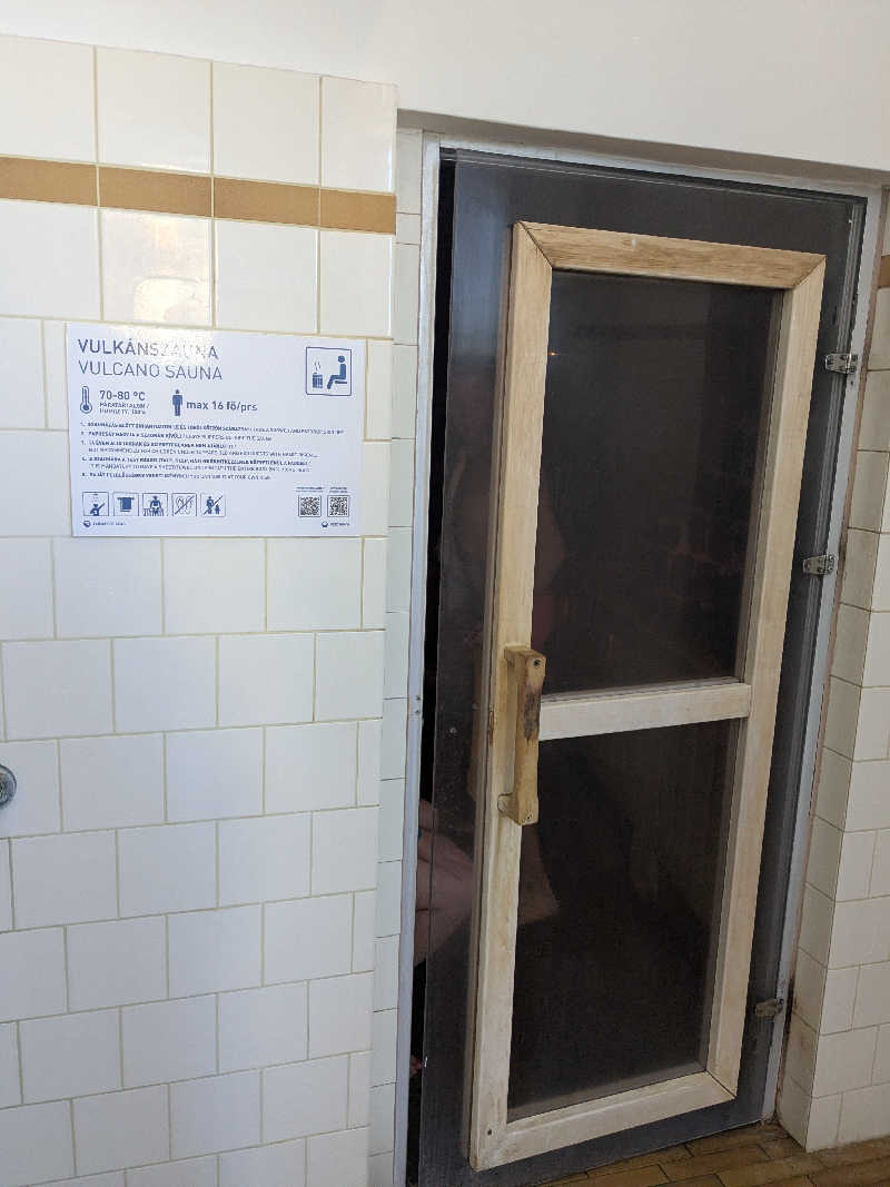 どもしゃまさんのセーチェーニ温泉のサ活写真