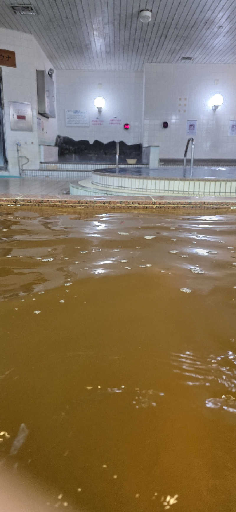 やなくさんの湯乃泉 東名厚木健康センターのサ活写真