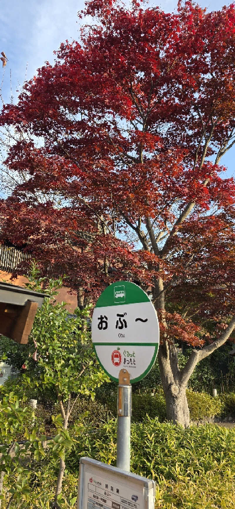 やなくさんの林檎の湯屋 おぶ～のサ活写真