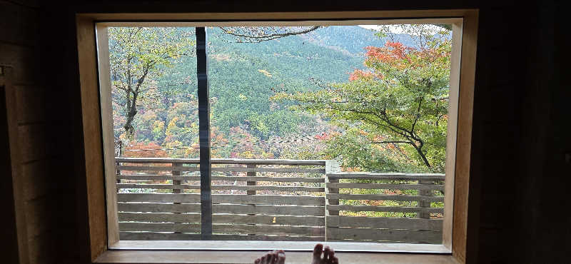 やなくさんのNARAYA CAFE (サウナ NARAYA+)のサ活写真