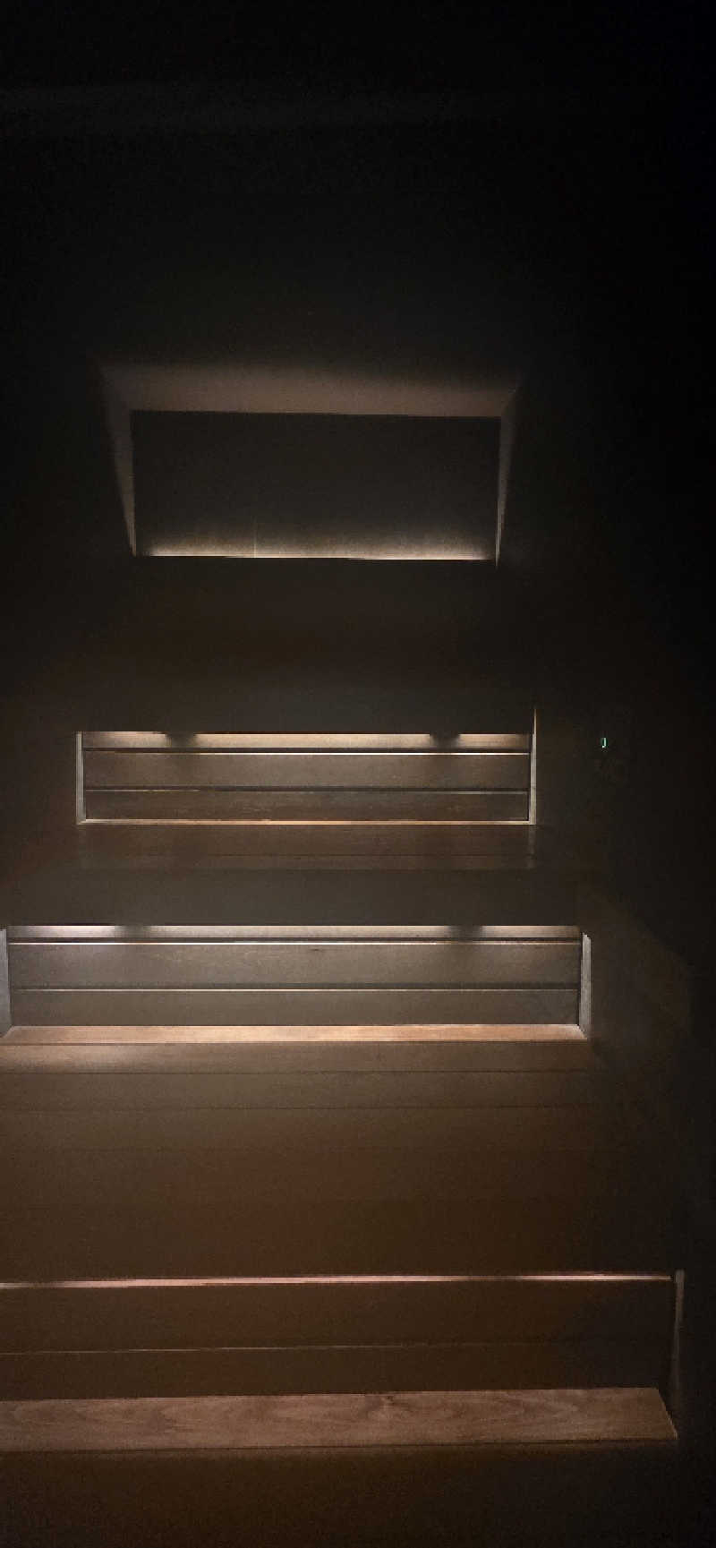 やなくさんのSAUNA 霧宙のサ活写真