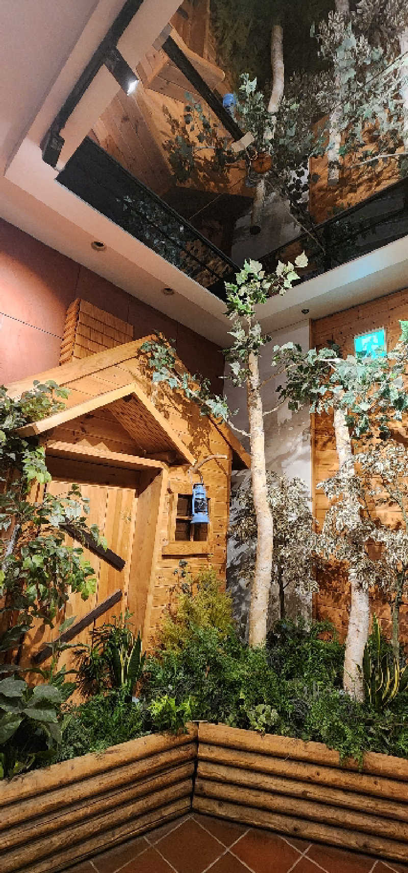 tossyさんのウェルビー栄のサ活写真