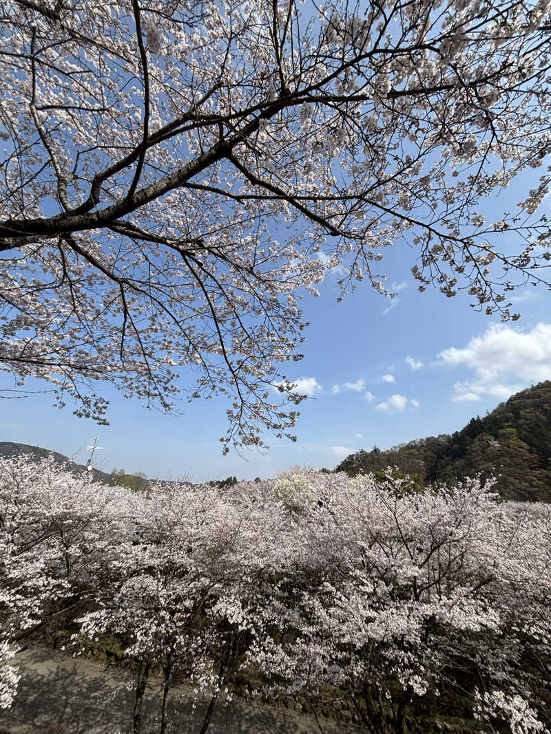 こんどうよしたださんの藤野やまなみ温泉のサ活写真