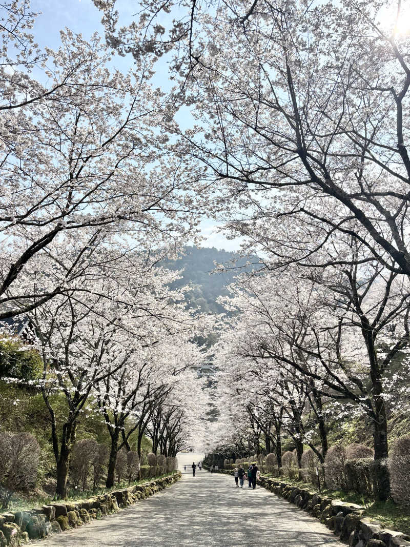 こんどうよしたださんの藤野やまなみ温泉のサ活写真