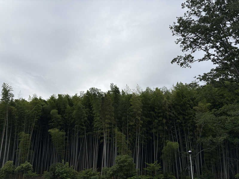 AN23さんのSPA&SAUNA水春 服部緑地のサ活写真