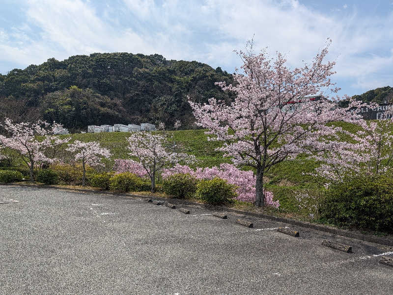 ひかうぅさんの筑紫野 天拝の郷のサ活写真