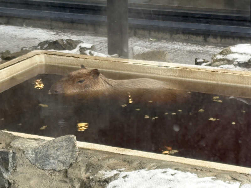 彗星さんの石狩天然温泉 番屋の湯のサ活写真