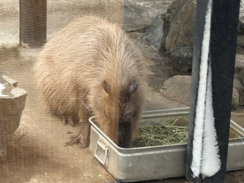 彗星さんの石狩天然温泉 番屋の湯のサ活写真