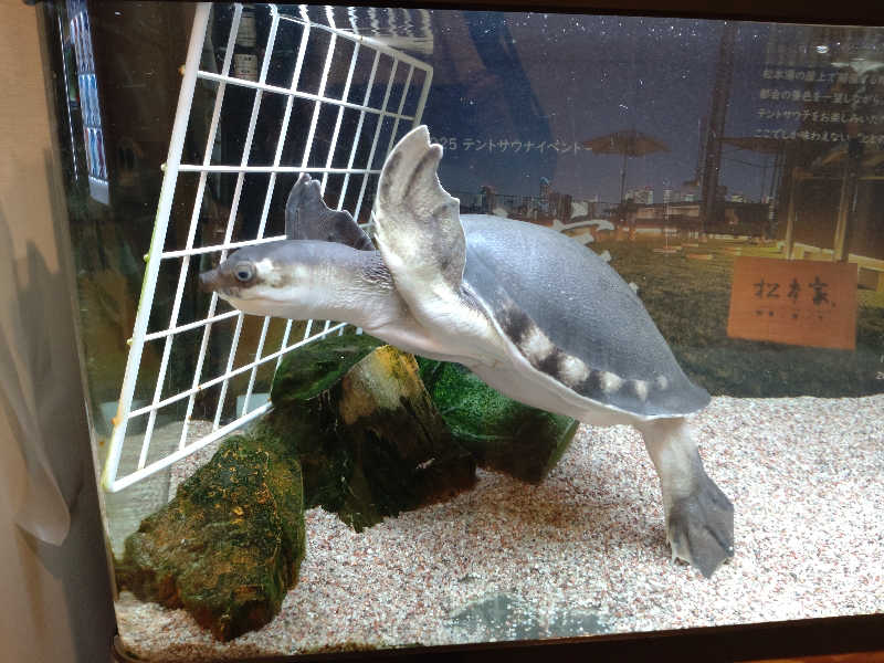 三姉妹の母さんの松本湯のサ活写真