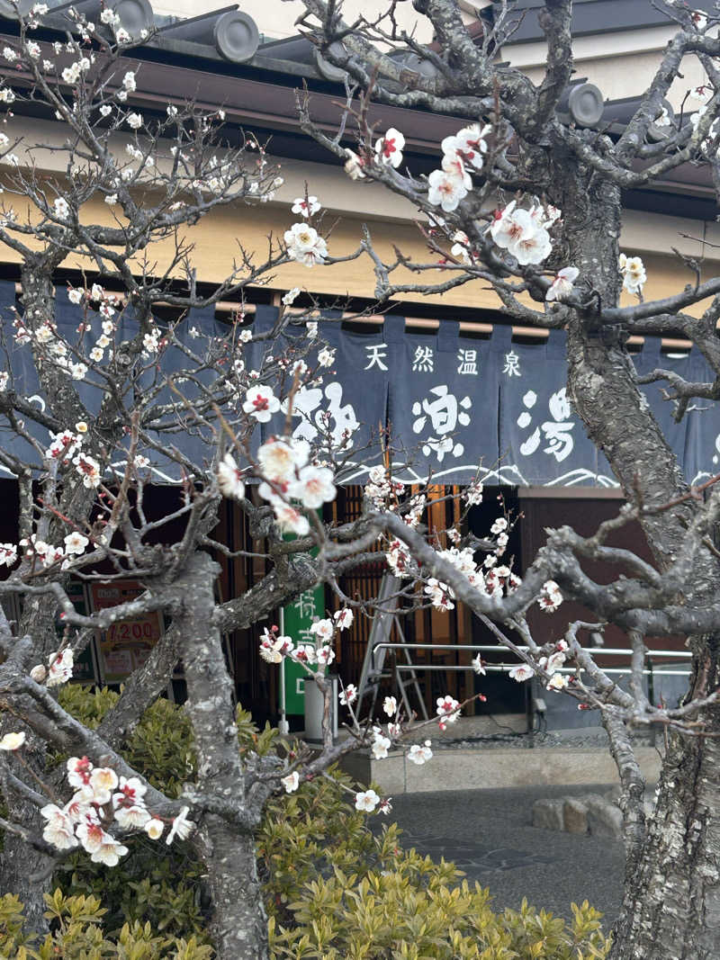 12月生まれのやぎ座ですさんの極楽湯 富谷店のサ活写真