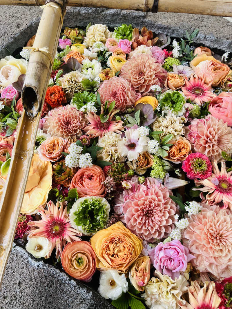 よーちゃんさんの里の森 森のゆのサ活写真