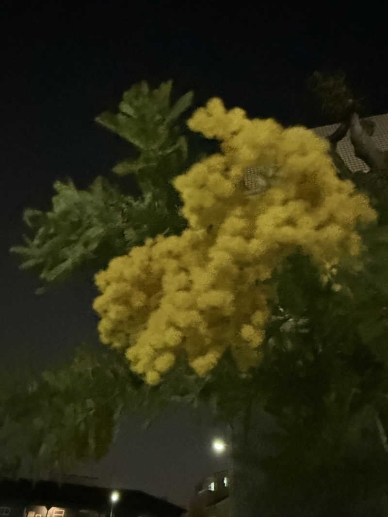 るるるさんの堀田湯のサ活写真