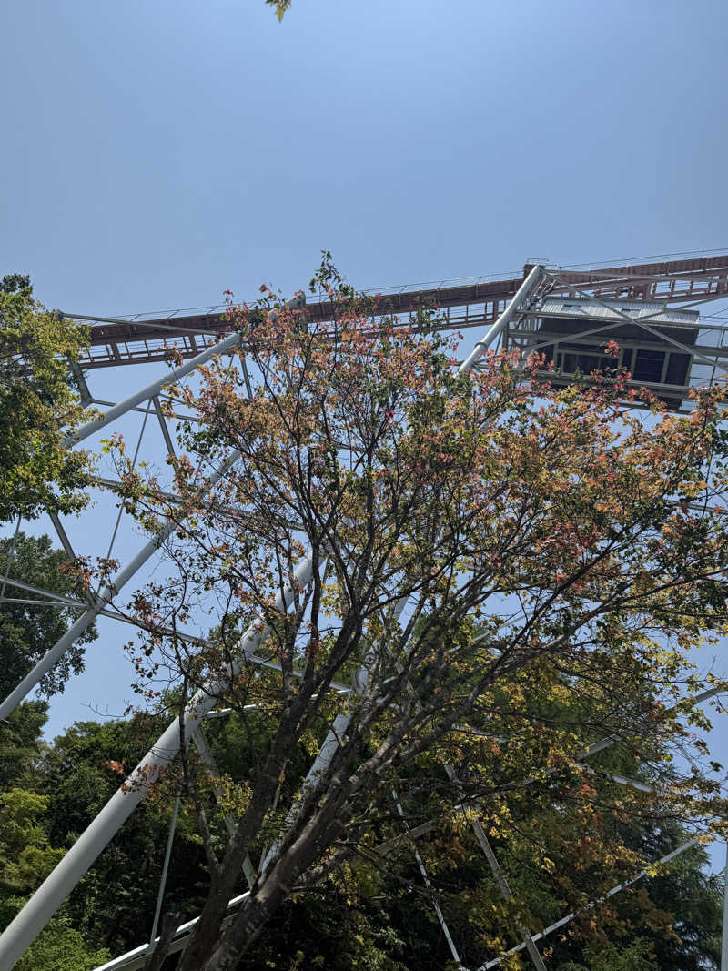 ぼぶさんのルスツリゾートホテル ルスツ温泉 ことぶきの湯のサ活写真