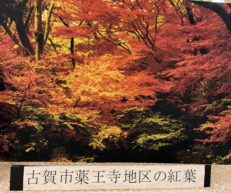 Ｍ＆Ｔさんの照葉スパリゾート門司店のサ活写真