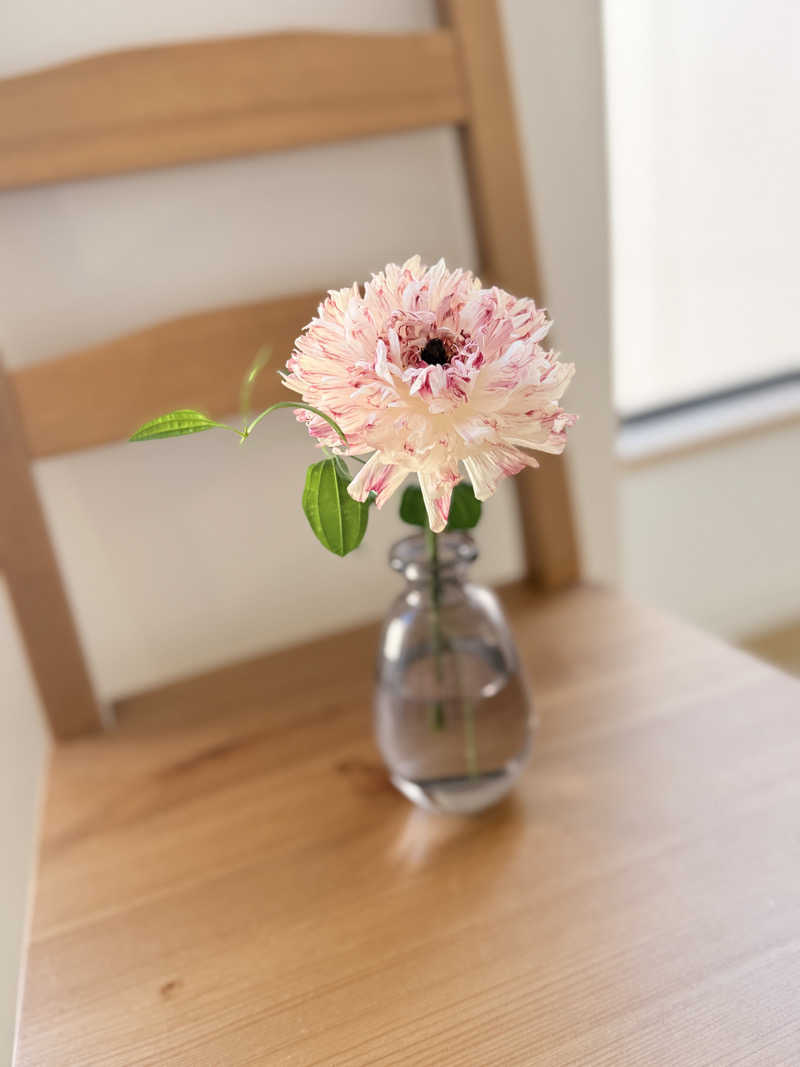 Ｍ＆ＴさんのTHE VANISHのサ活写真