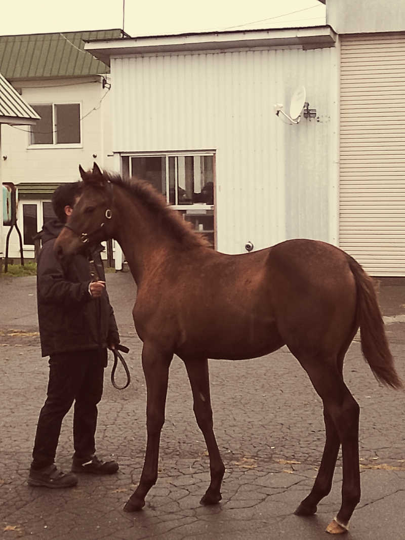 くに王子さんのうらかわ優駿ビレッジアエルのサ活写真