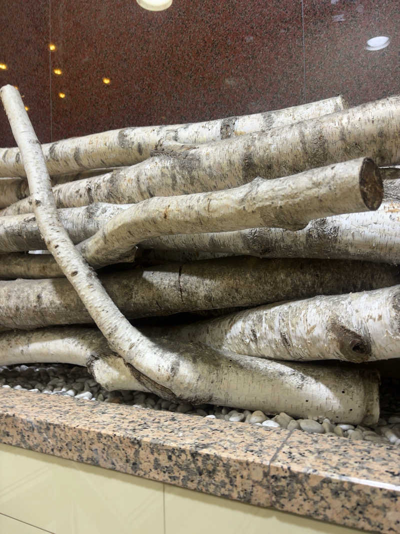 Kobako14さんのサウナ&カプセルホテルレインボー本八幡店のサ活写真