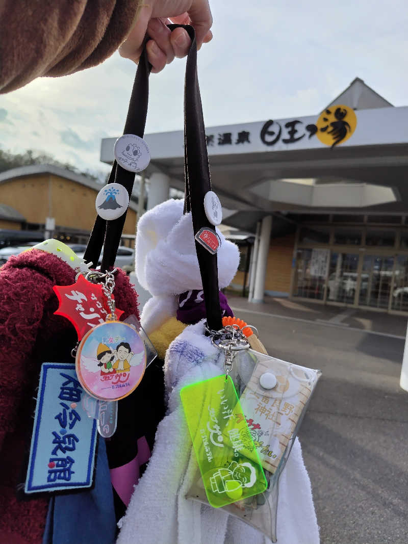 ジャグサウナーさんの天然温泉日王の湯のサ活写真