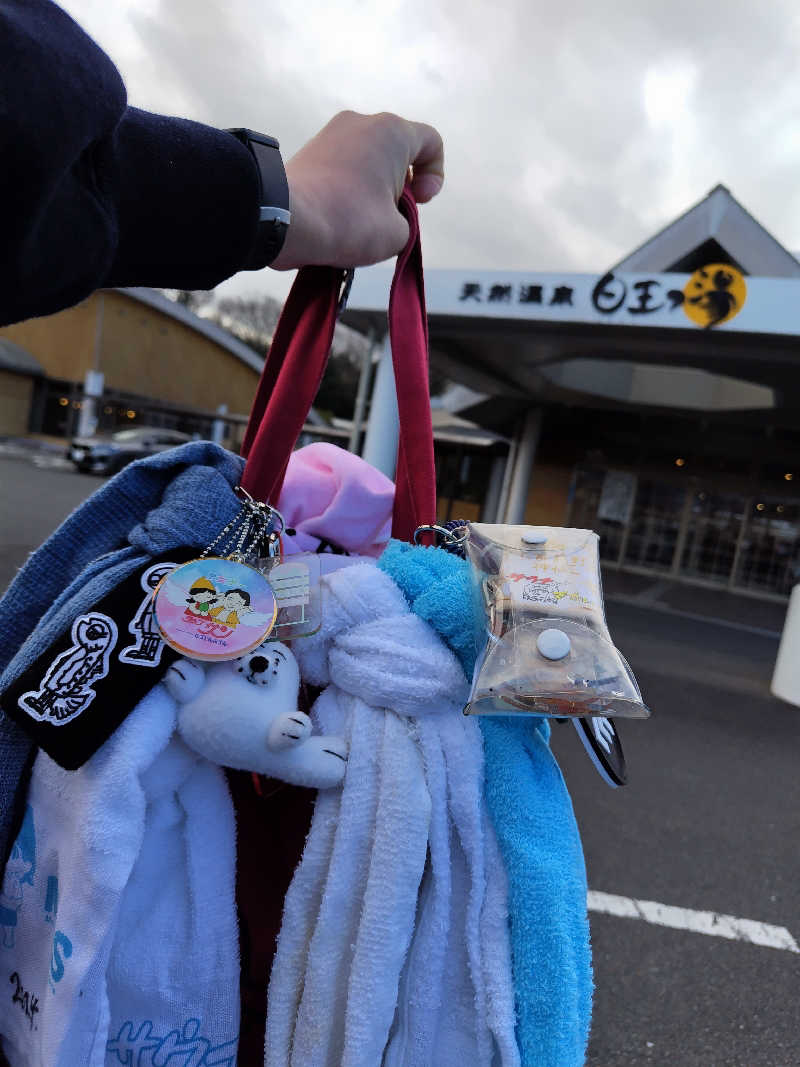 ジャグサウナーさんの天然温泉日王の湯のサ活写真