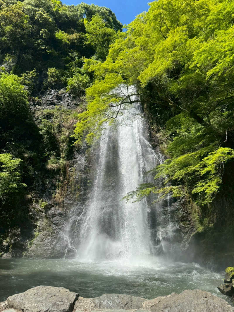 まぁサウナさんの宝乃湯のサ活写真