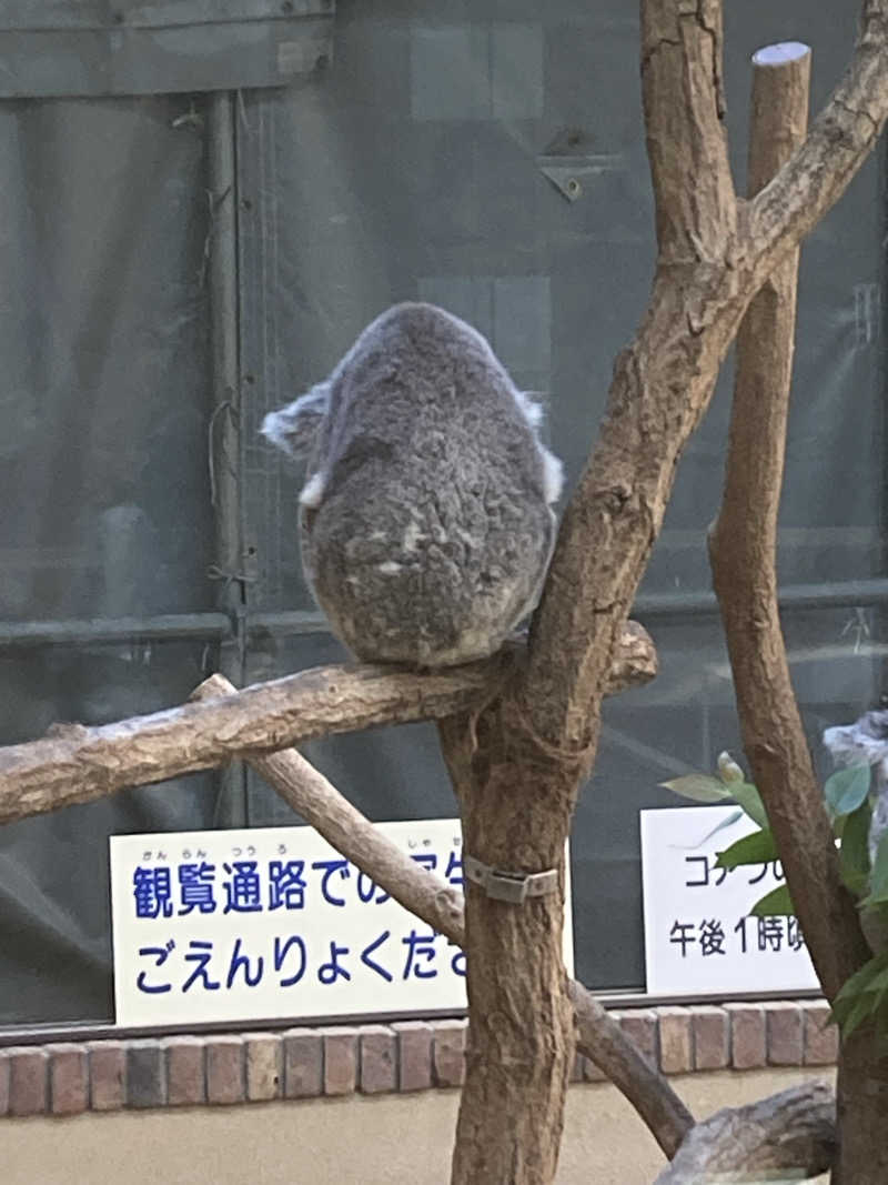 夜勤明け侍さんのサウナシャンのサ活写真