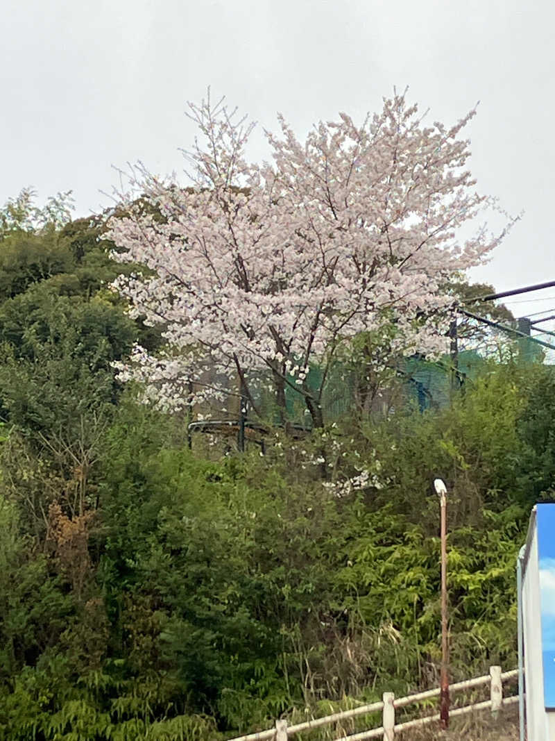 ミントちんさんの筑紫の湯のサ活写真